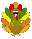 Colorful Turkey - Cindi