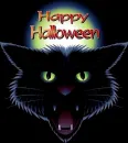 HALLOWEEN CAT