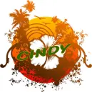 Orange Flower Burst - Cindy