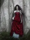 dark veil
