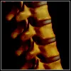 spine avatar