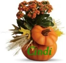 Floral Pumpkin - Cindi
