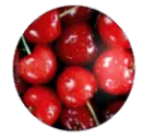cherry badge
