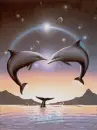 dolphins kissing