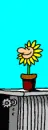 hello sunflower