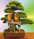 Two