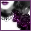 Purple flower