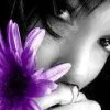 Purple flower