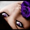 Purple flower