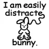 bunny