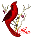 Ann