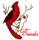 Brenda