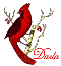 Darla