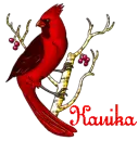 Kanika