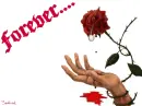 Forever ...
