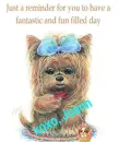 joann puppy