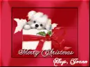 Merry Christmas Hugs, Joann