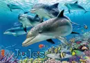 jules dolphin