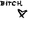 bitch