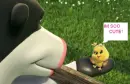 little chick