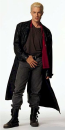 Spike