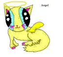 Funny Cat