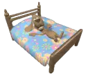 dog in bed
