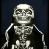 skeleton avatar