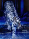 blue tiger lake
