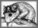 pirate rat