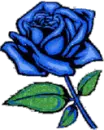 blue rose glitter