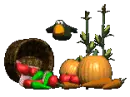 harvest time