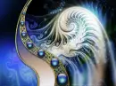 Fractal