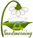 Flower-