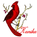 Kanika