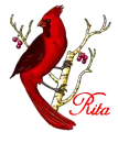 Rita