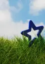 blue star