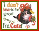 Lynyrd ~ I Don't Have To Be Good I'm Cute!