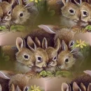 BUNNIES