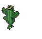 Funny cactus ! 