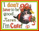 Karen ~ I Don't Have To Be Good I'm Cute!