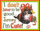 Lovey ~ I Don't Have To Be Good I'm Cute!