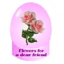 flowers for a dear friend