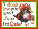 Julie ~ I Don't Have To Be Good I'm Cute!