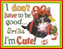 Erika ~ I Don't Have To Be Good I'm Cute!