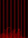 Red & Black