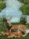 mom and fawn