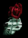 vampiras bloody rose
