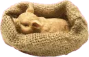 pig in straw bed