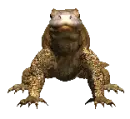 komodo dragon